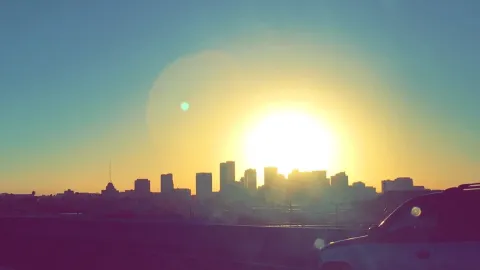 Phoenix Rising Phoenix Rising