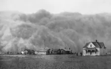 dust lovers dream