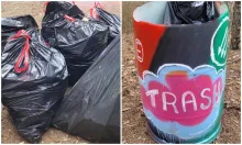 what would litter bloc do?