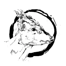 Muntjac logo? Black-and-white drawing